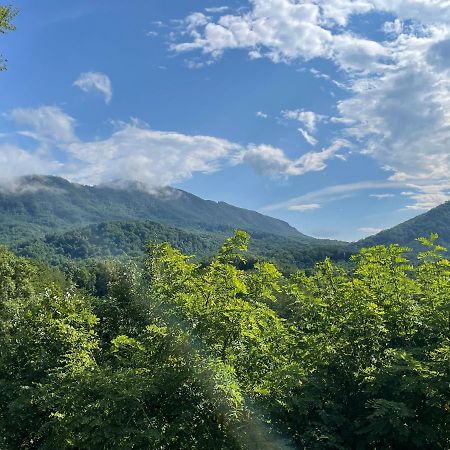 Bear Doodle Villa Sevierville Bagian luar foto