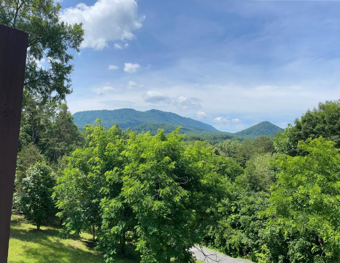 Bear Doodle Villa Sevierville Bagian luar foto